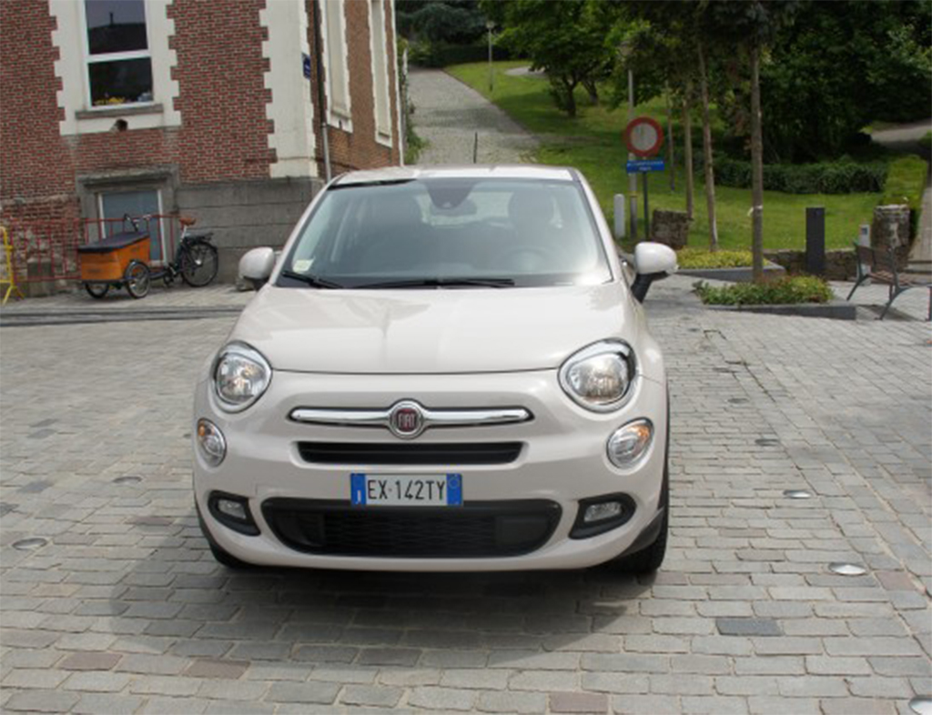 DSC03156-e1437142895372-547x420kopie