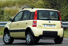 Fiat Panda Cross - 1.2 8V Eco Climbing 4x4 (2003)