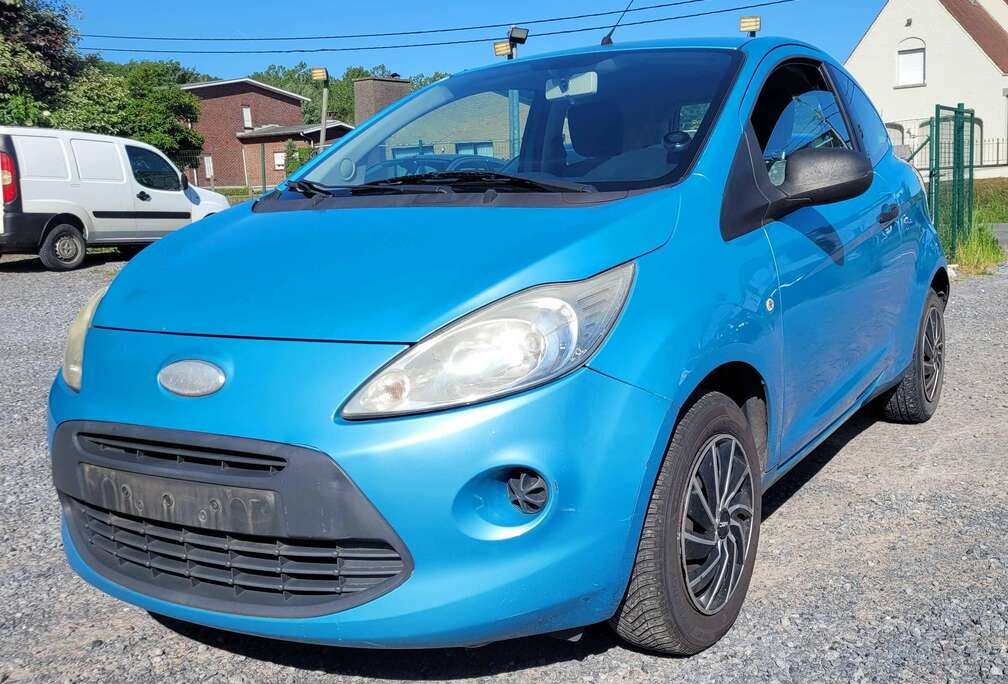 Ford 1.3i GEKEURD ROOS FORMULIER 2010