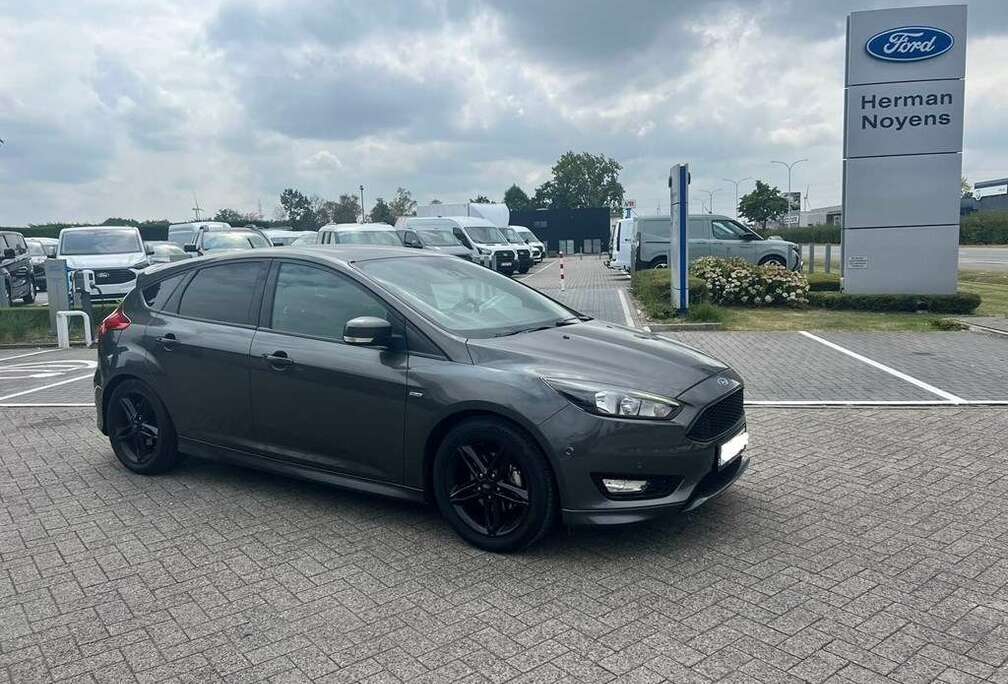 Ford Enkel voor professionele verkoop.