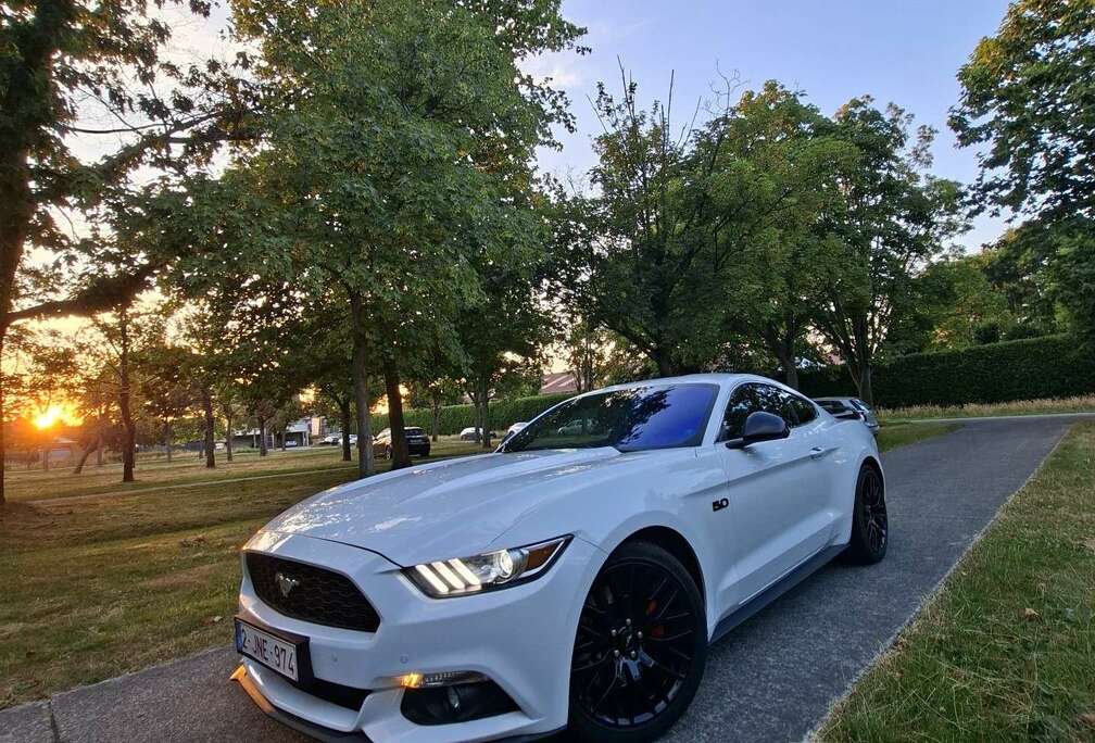 Ford 2.3 EcoBoost