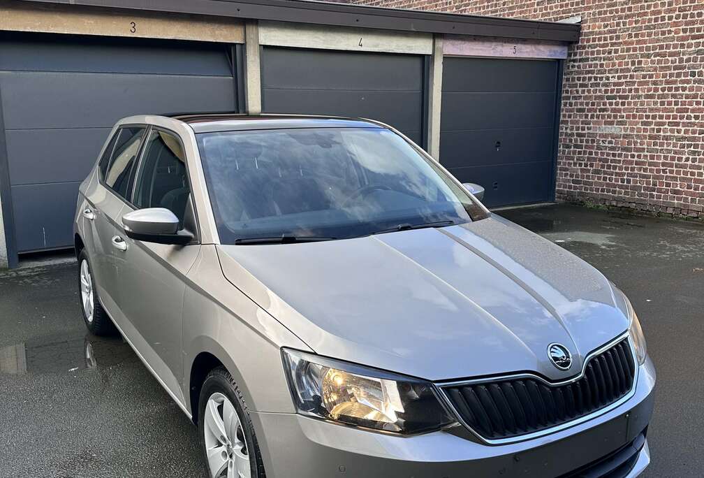 Skoda 1.2 TSI DSG