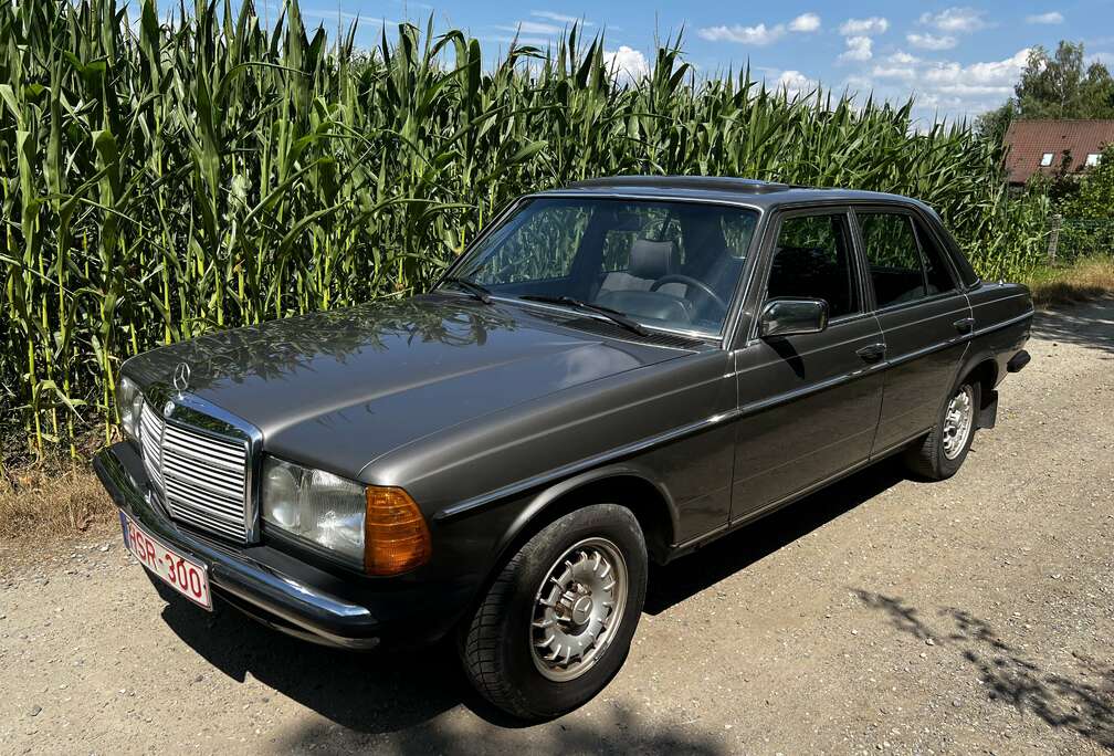 Mercedes-Benz W123 200 benzine M102 Full service book