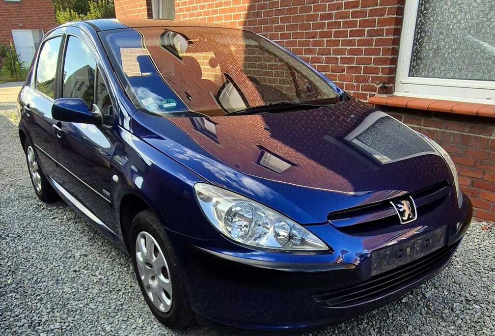 Peugeot 1.6i 16v XR