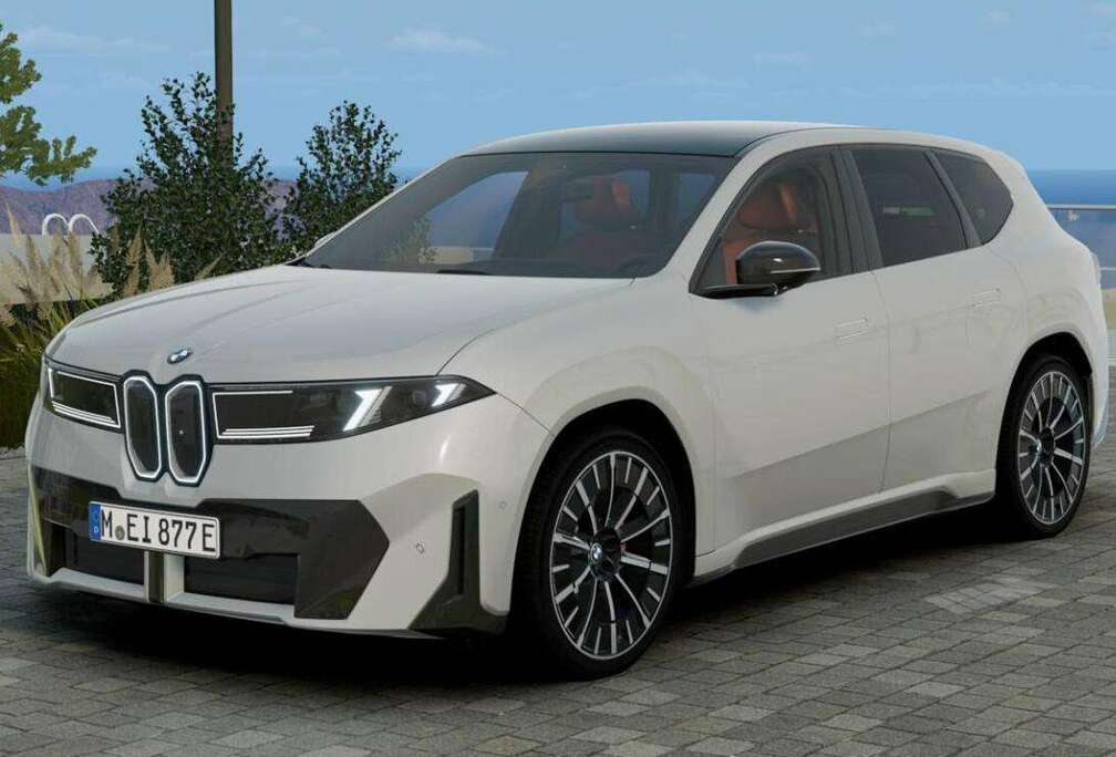 BMW 40 / M sport Pro / 22\
