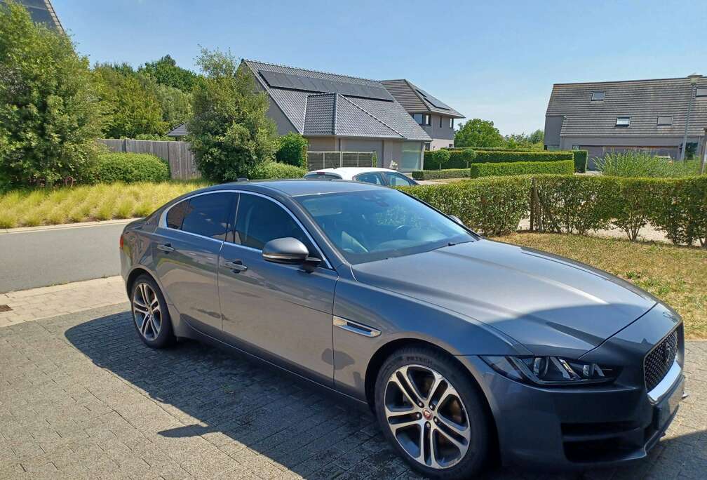 Jaguar