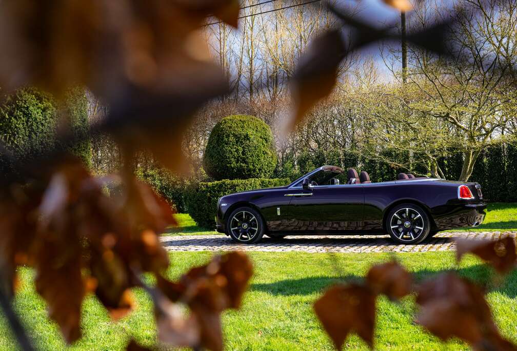 Rolls-Royce  Elegant Colour Combo