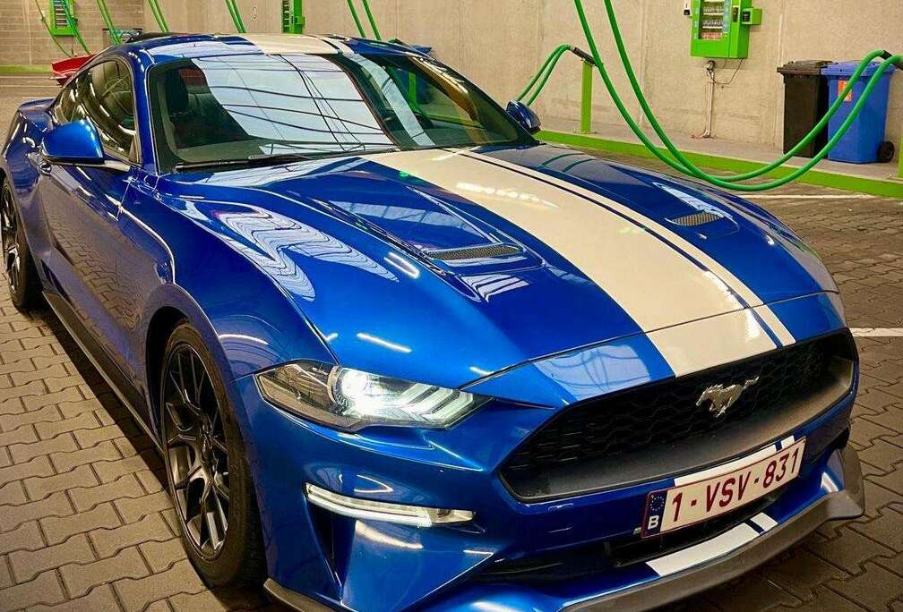 Ford Mustang 2.3 EcoBoost (EU6.2)