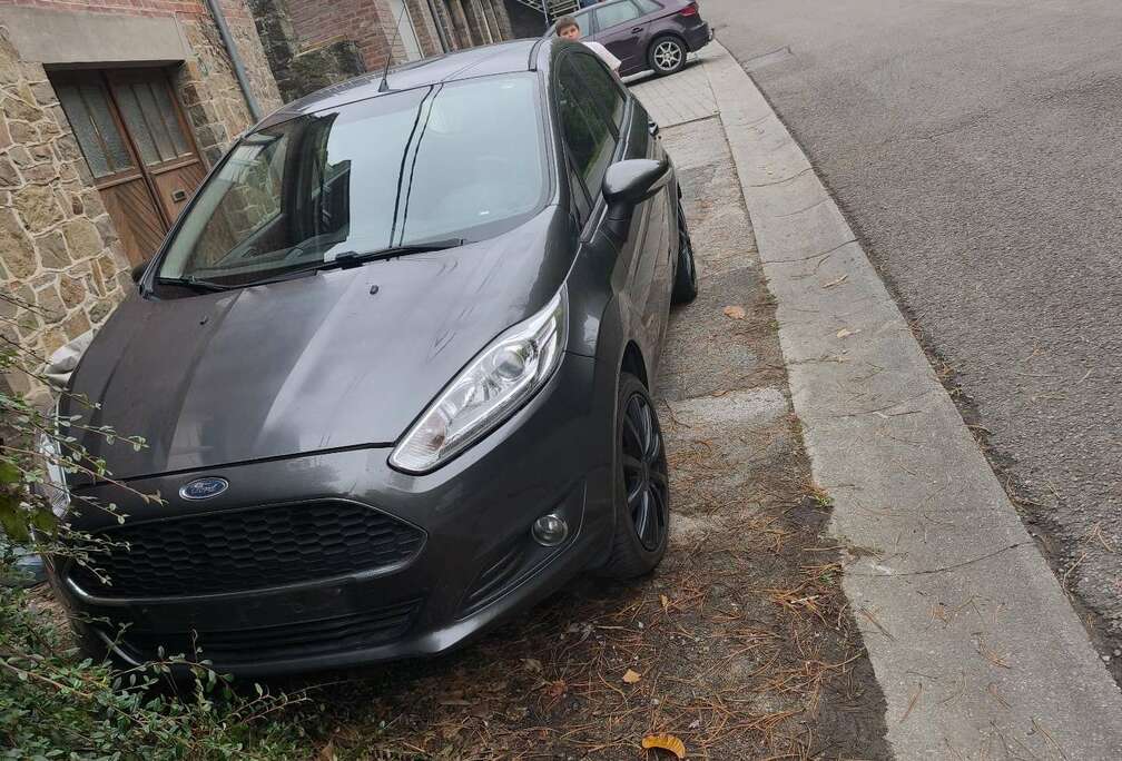 Ford 1.0 80 S&S Titanium