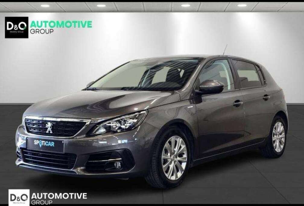Peugeot style camera gps