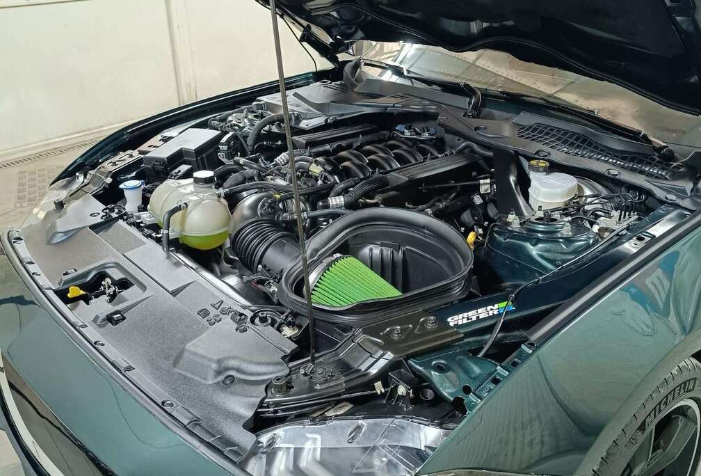 Ford 5.0 Ti-VCT V8 GT Bullit (EU6.2)