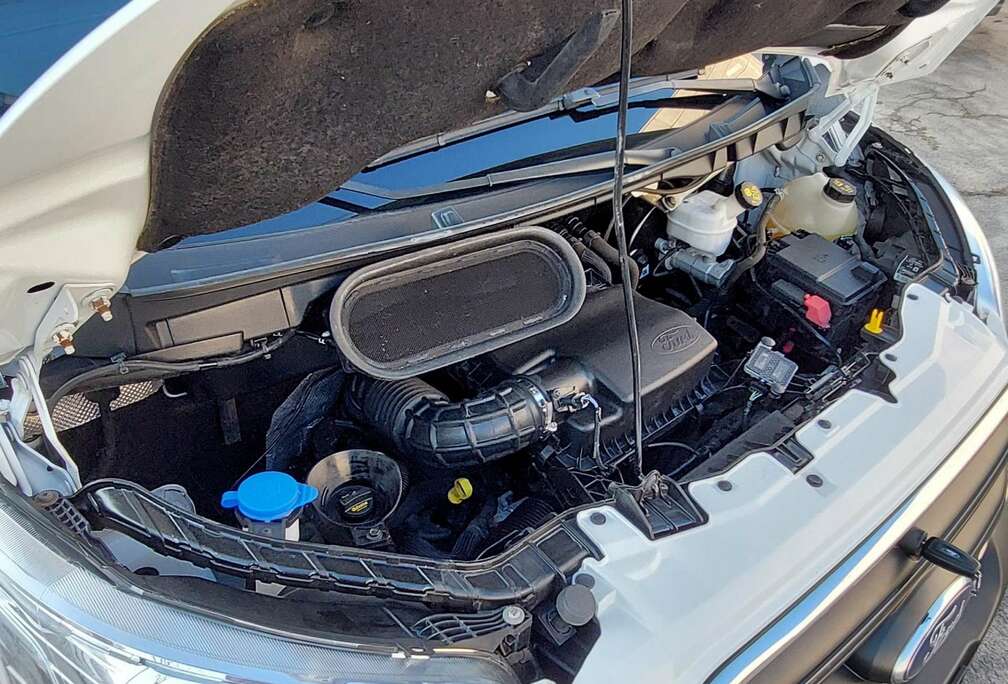 Ford 350 M TDCi