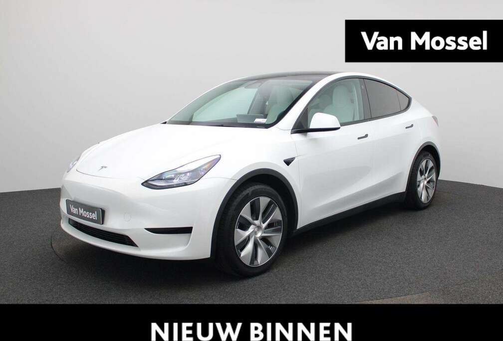 Tesla RWD