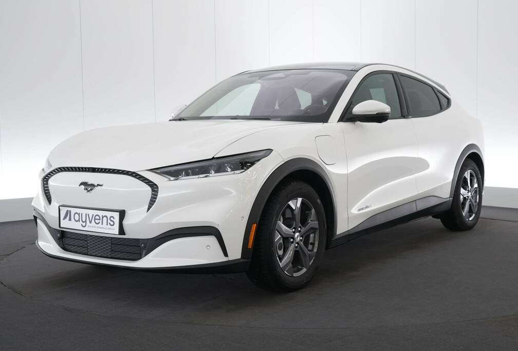 Ford 76 kWh RWD Standard Range Technology+ LEDER/CUIR L