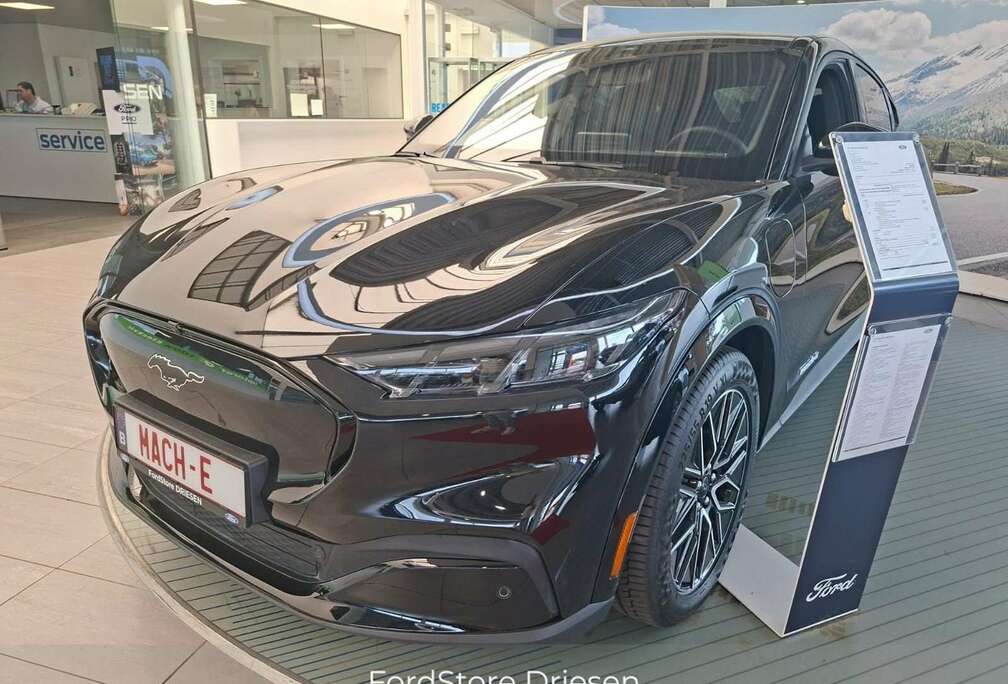 Ford 91 kWh Premium RWD