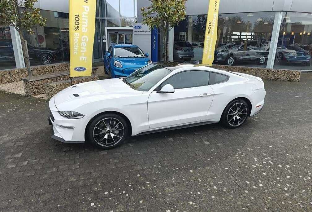 Ford Ecoboost 2.3