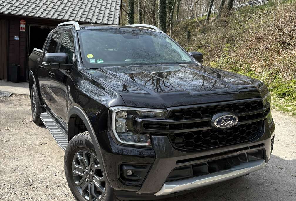 Ford 2.0 EcoBlue e-4WD Wildtrak