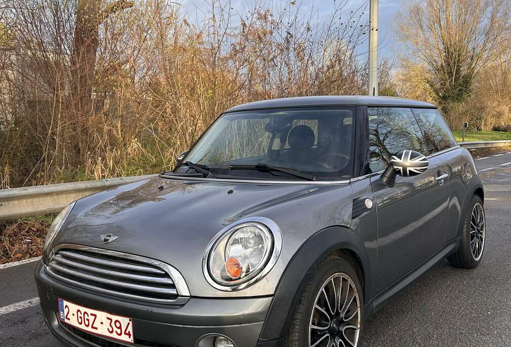 MINI 2010