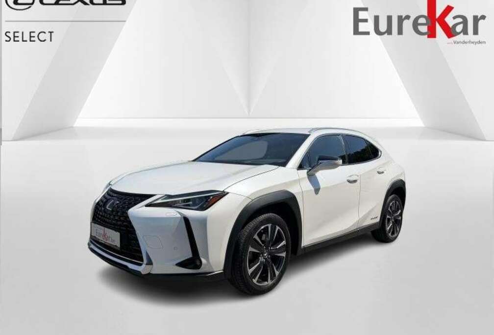Lexus Explore Line