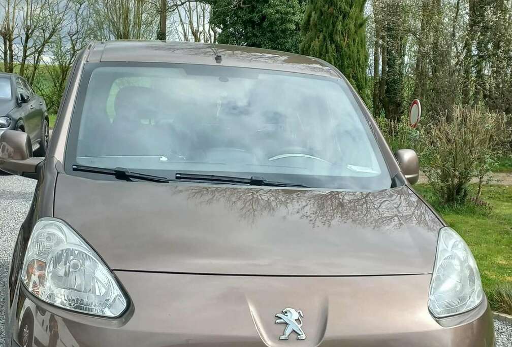 Peugeot Tepee 1.6 e-HDi Active STT