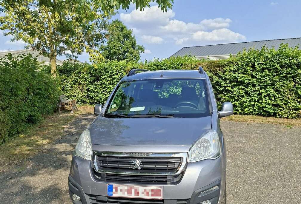 Peugeot Tepee 1.6 BlueHDi Style