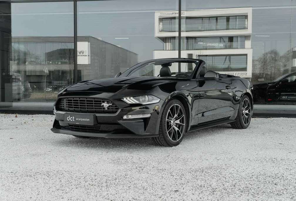 Ford Cabrio 55 Years edition CoolingSeats B&O Sound