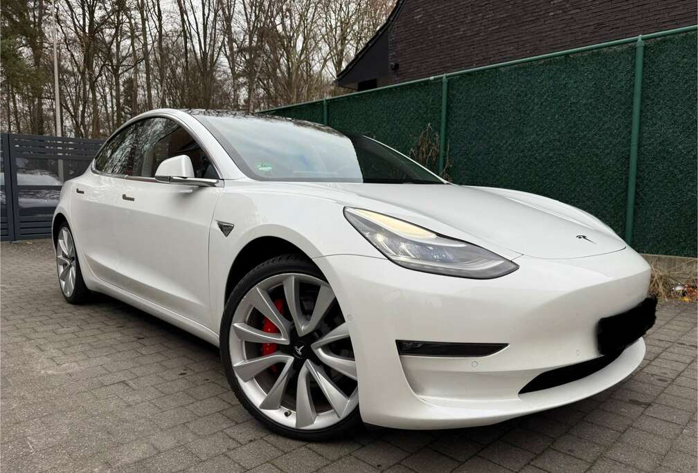 Tesla Langstreckenbatt. Allradantrieb Dual Motor Performance