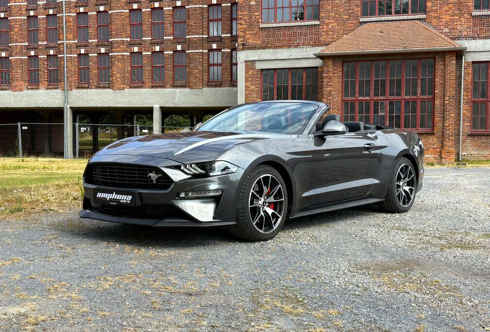 Ford Cabrio 2.3l ecoboost  55y Edition      Puur. Vrijheid. Passie.