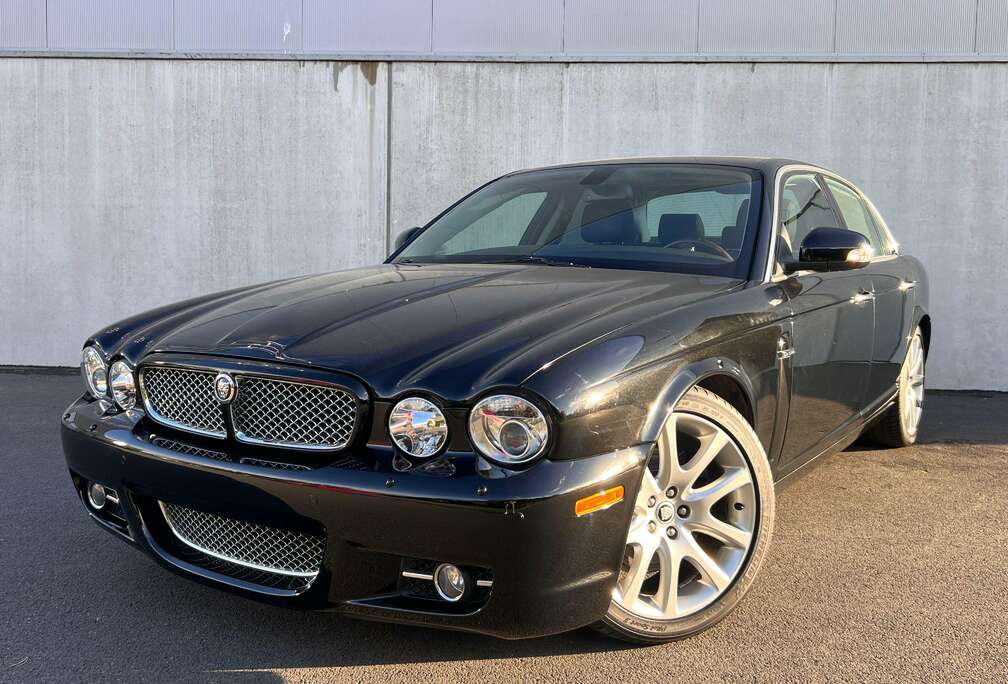 Jaguar Collection