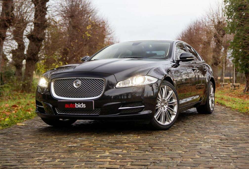 Jaguar XJ Portfolio
