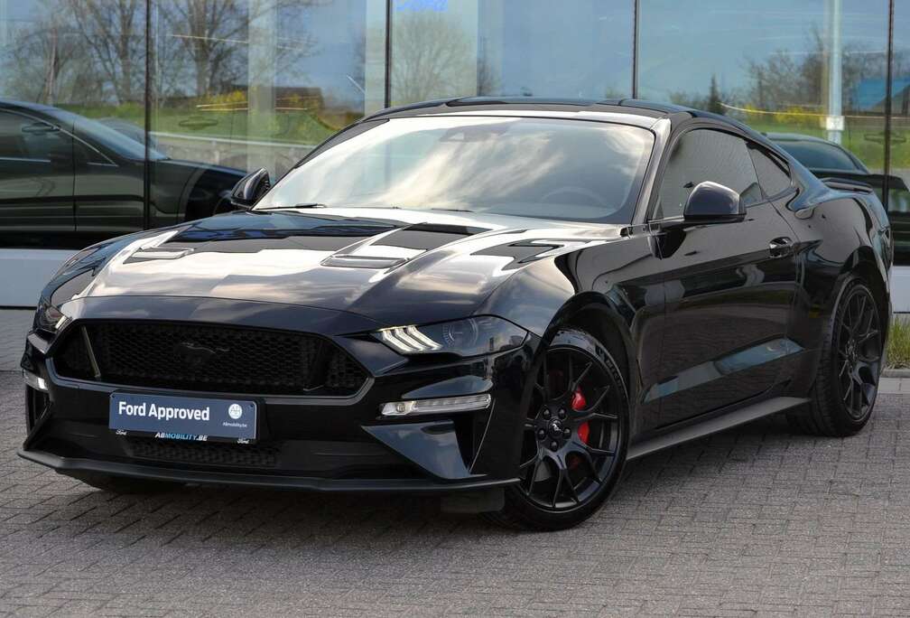 Ford 2.3i EcoBoost *Black Pack*