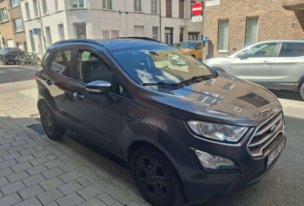 Ford Ecosport 1.0 EcoBoost FWD Business Class