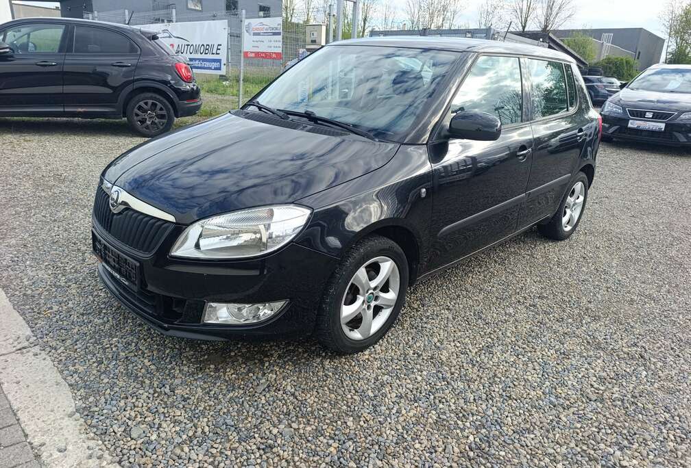 Skoda Fabia1.2tdi/garantie12mois/airco/gps/euro5/car pas