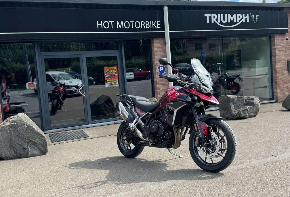 Triumph GT Pro (garantie 24 mois)