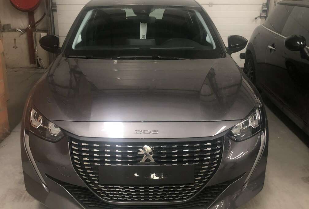 Peugeot Active
