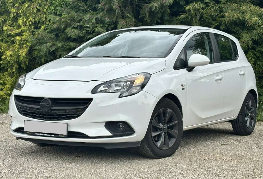 Opel Gekeurd V.V.  1Eigenaar Carplay Dealeronder
