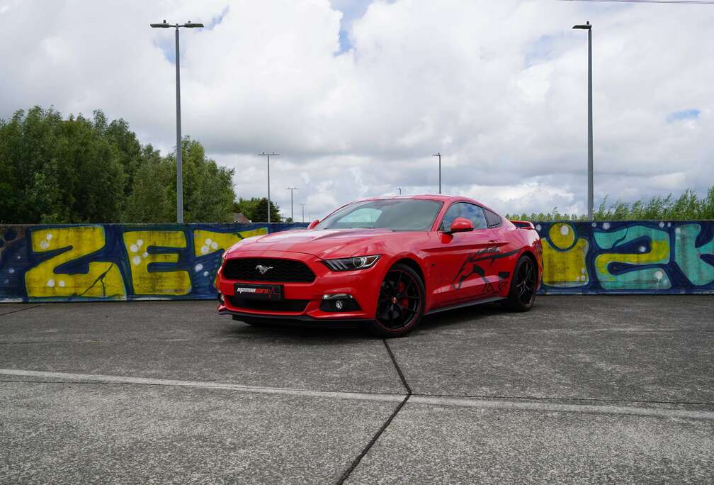 Ford 2.3 EcoBoost | Unieke Uitvoering! | Race Red | 25dkm!