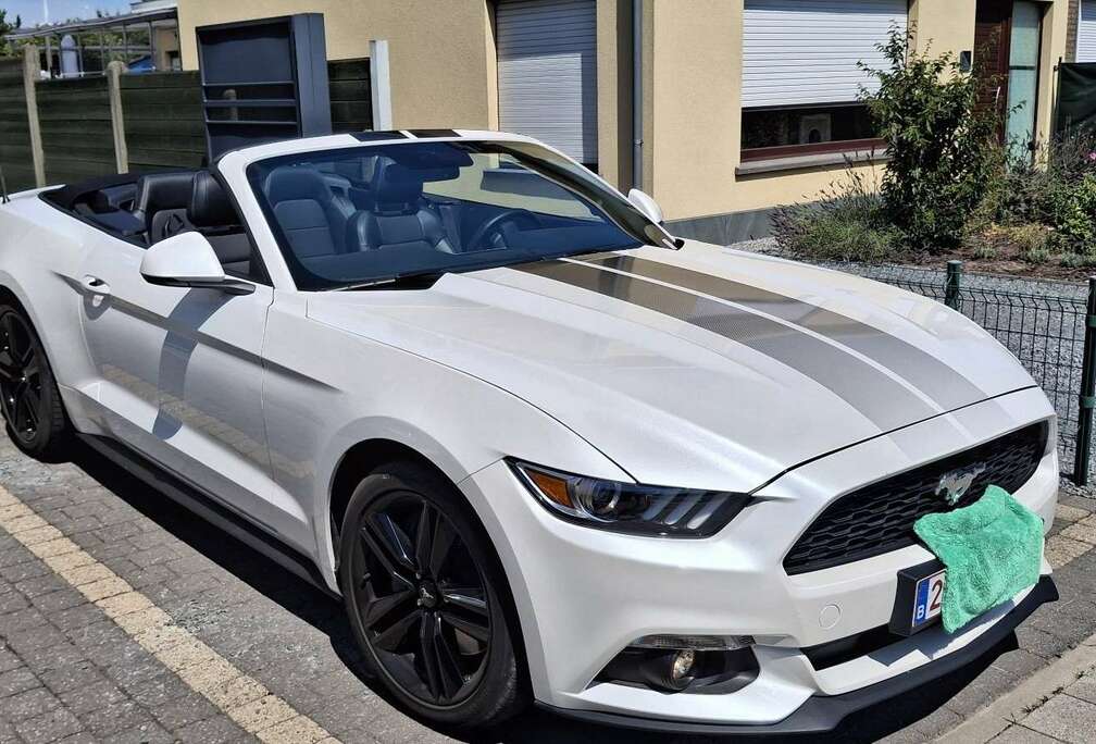 Ford Convertible 2.3 EcoBoost