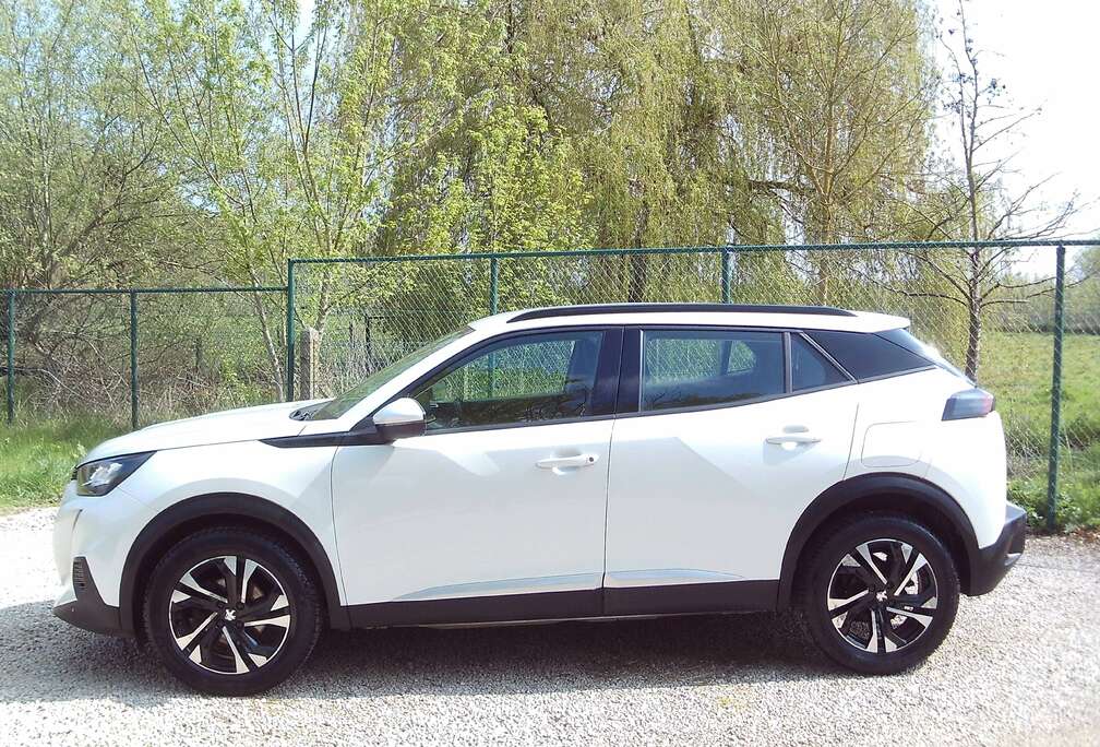 Peugeot Benzine 95dkm 17\