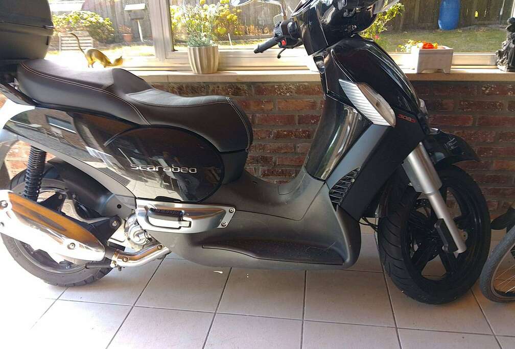 300