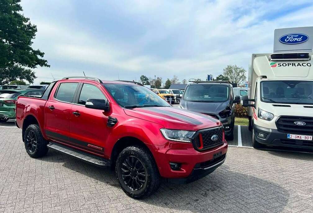 Ford Enkel voor professionele verkoop.