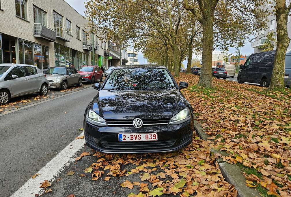 Volkswagen Golf Alltrack 1.6 CR TDi 4Motion