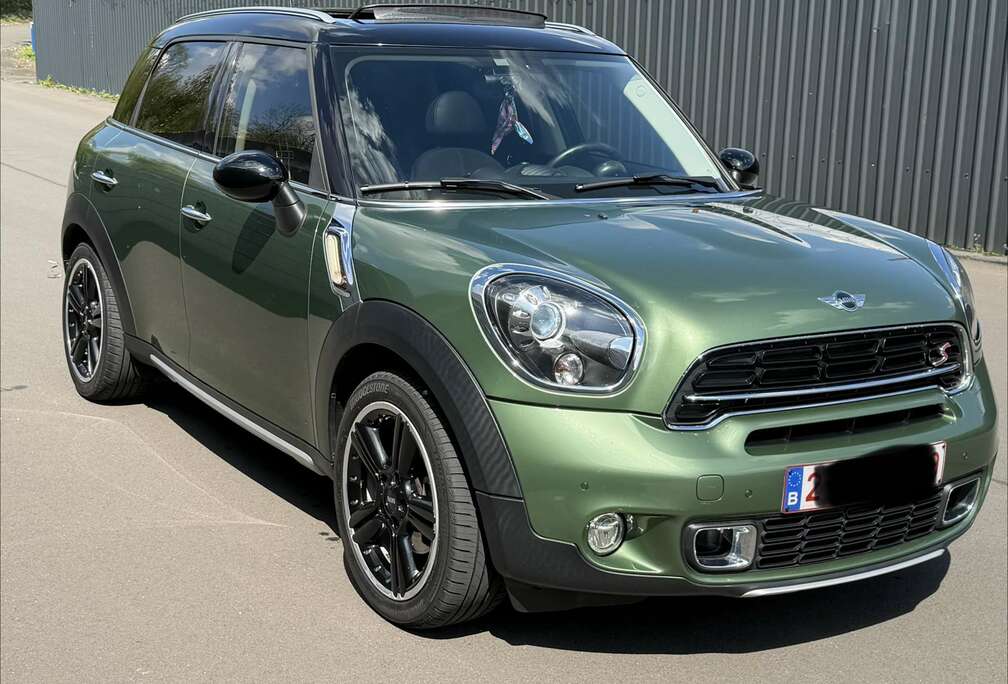 MINI 2.0 D S