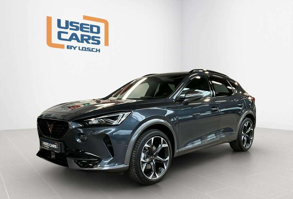 Pano+4D+RearView+P.DriveL