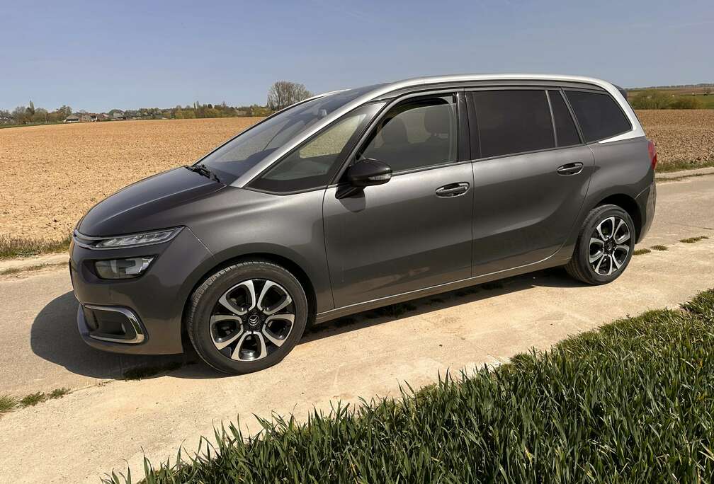 Citroen 1.5 BlueHDi Rip Curl S&S - 7 Places