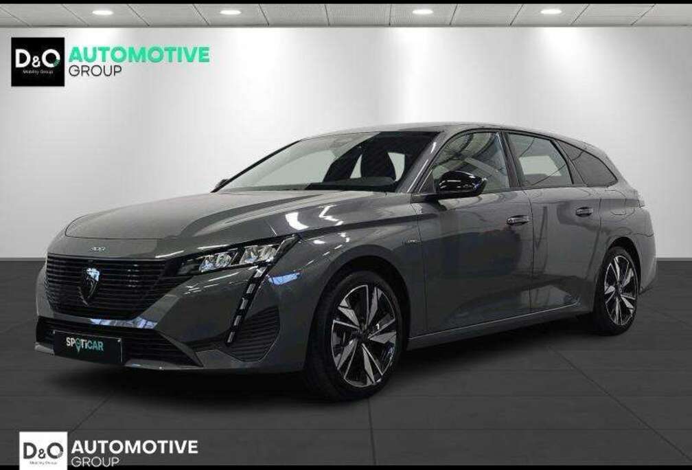 Peugeot Active Pack gps