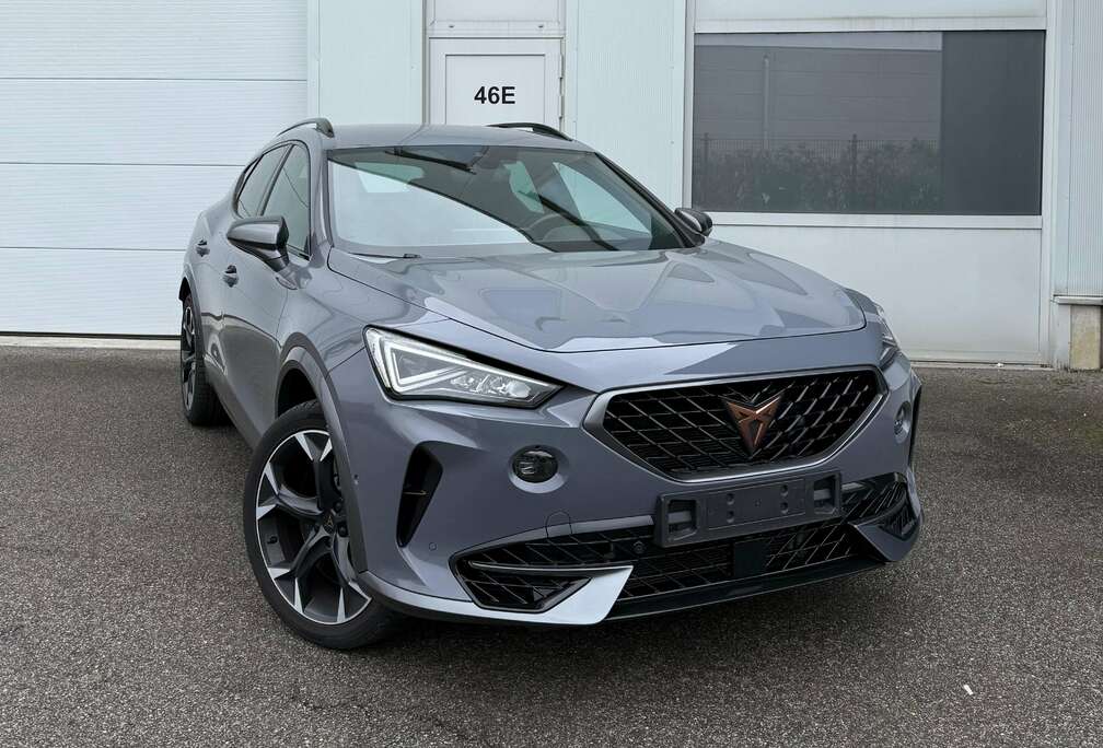 Formentor 2.0 TSI 4Drive VZ DSG