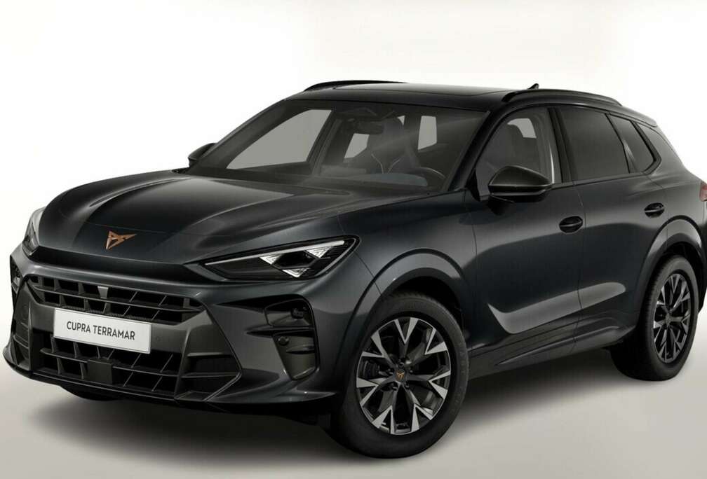 Terramar 1.5 eTSI DSG