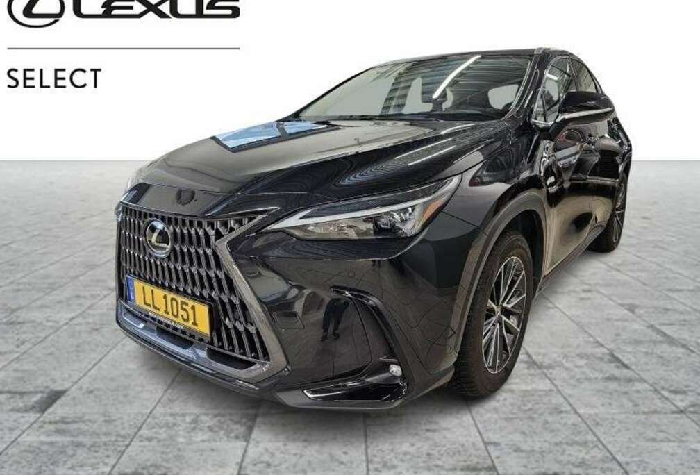 Lexus Business Line Awd