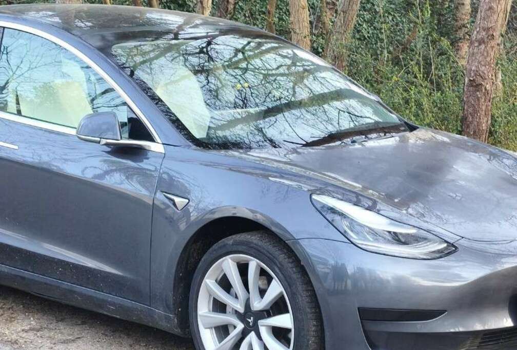 Tesla Standard Range Plus RWD